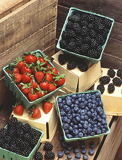 fruit picture